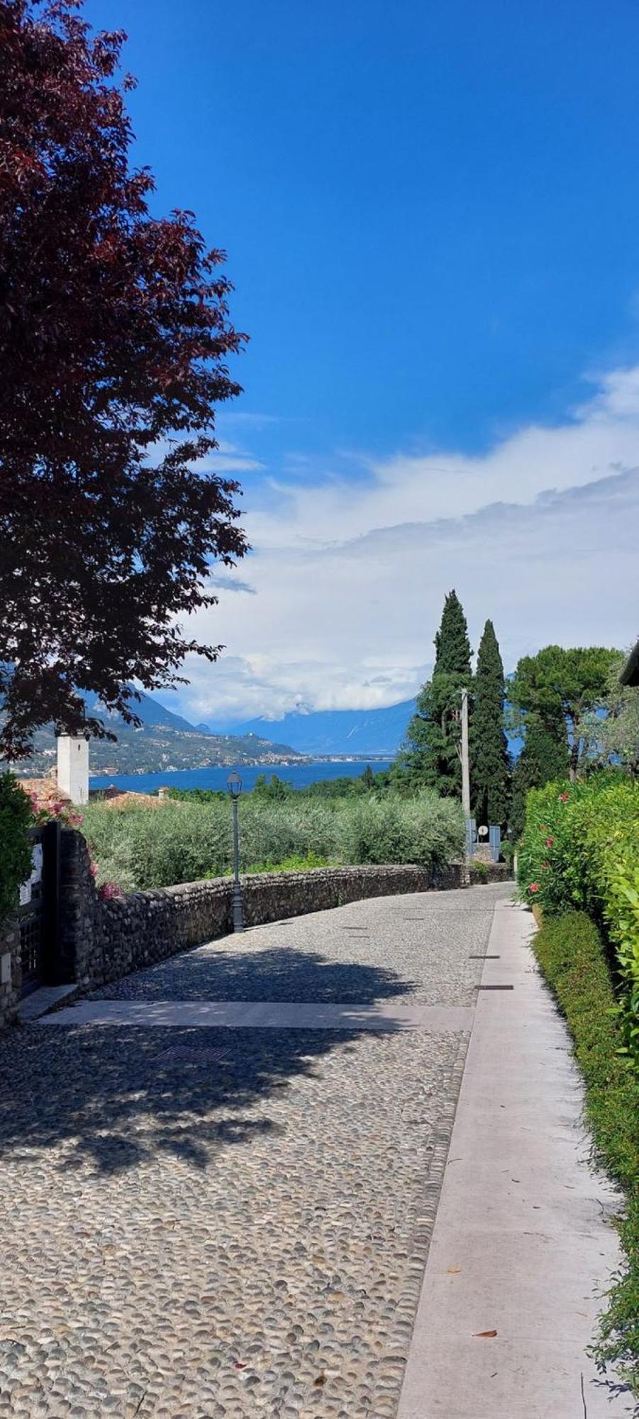 Antica Dimora Apartment San Felice del Benaco Exterior foto